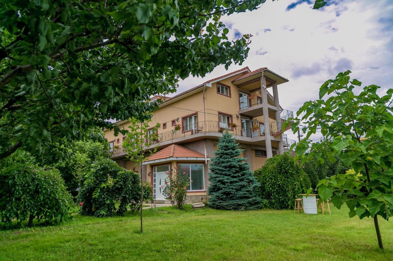 Hotel Heaven Garden Două Mai Extérieur photo