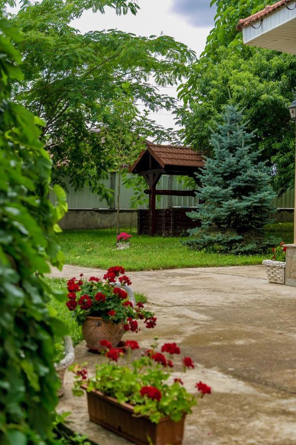 Hotel Heaven Garden Două Mai Extérieur photo